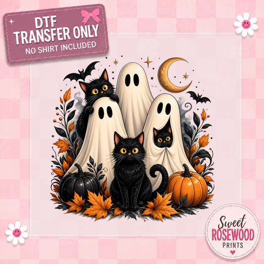 GHOSTS & CATS